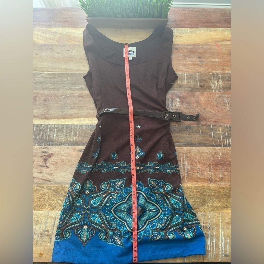 Bailey Blue Sleeveless Belted Brown Dress| Small - Picture 4 of 7